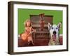 Funny Dog Card-graphicphoto-Framed Photographic Print