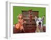 Funny Dog Card-graphicphoto-Framed Photographic Print