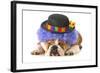 Funny Dog - English Bulldog Dressed Up Like A Clown Isolated On White Background-Willee Cole-Framed Photographic Print