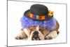 Funny Dog - English Bulldog Dressed Up Like A Clown Isolated On White Background-Willee Cole-Mounted Photographic Print
