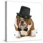 Funny Dog - Grumpy Looking Bulldog Dressed Up In A Tophat And Black Tie-Willee Cole-Stretched Canvas