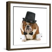 Funny Dog - Grumpy Looking Bulldog Dressed Up In A Tophat And Black Tie-Willee Cole-Framed Photographic Print