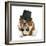 Funny Dog - Grumpy Looking Bulldog Dressed Up In A Tophat And Black Tie-Willee Cole-Framed Photographic Print