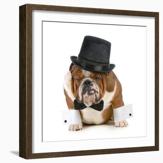 Funny Dog - Grumpy Looking Bulldog Dressed Up In A Tophat And Black Tie-Willee Cole-Framed Photographic Print