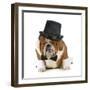 Funny Dog - Grumpy Looking Bulldog Dressed Up In A Tophat And Black Tie-Willee Cole-Framed Photographic Print