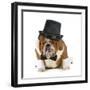 Funny Dog - Grumpy Looking Bulldog Dressed Up In A Tophat And Black Tie-Willee Cole-Framed Photographic Print