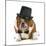 Funny Dog - Grumpy Looking Bulldog Dressed Up In A Tophat And Black Tie-Willee Cole-Mounted Photographic Print