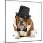 Funny Dog - Grumpy Looking Bulldog Dressed Up In A Tophat And Black Tie-Willee Cole-Mounted Photographic Print