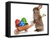 Funny Easter Bunny Rabbit With A Wheelbarrow And Some Easter Eggs-mdorottya-Framed Stretched Canvas