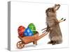 Funny Easter Bunny Rabbit With A Wheelbarrow And Some Easter Eggs-mdorottya-Stretched Canvas