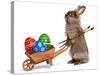 Funny Easter Bunny Rabbit With A Wheelbarrow And Some Easter Eggs-mdorottya-Stretched Canvas