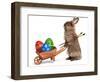 Funny Easter Bunny Rabbit With A Wheelbarrow And Some Easter Eggs-mdorottya-Framed Photographic Print