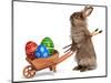 Funny Easter Bunny Rabbit With A Wheelbarrow And Some Easter Eggs-mdorottya-Mounted Photographic Print