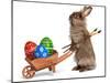 Funny Easter Bunny Rabbit With A Wheelbarrow And Some Easter Eggs-mdorottya-Mounted Photographic Print