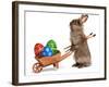 Funny Easter Bunny Rabbit With A Wheelbarrow And Some Easter Eggs-mdorottya-Framed Photographic Print