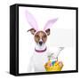 Funny Easter Dog-Javier Brosch-Framed Stretched Canvas