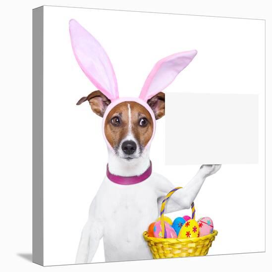 Funny Easter Dog-Javier Brosch-Stretched Canvas