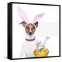 Funny Easter Dog-Javier Brosch-Framed Stretched Canvas