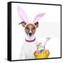 Funny Easter Dog-Javier Brosch-Framed Stretched Canvas