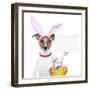 Funny Easter Dog-Javier Brosch-Framed Photographic Print