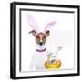 Funny Easter Dog-Javier Brosch-Framed Photographic Print