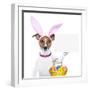 Funny Easter Dog-Javier Brosch-Framed Photographic Print