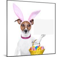 Funny Easter Dog-Javier Brosch-Mounted Photographic Print