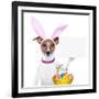 Funny Easter Dog-Javier Brosch-Framed Photographic Print