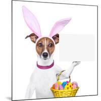 Funny Easter Dog-Javier Brosch-Mounted Photographic Print