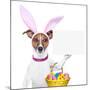 Funny Easter Dog-Javier Brosch-Mounted Photographic Print