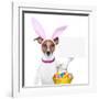 Funny Easter Dog-Javier Brosch-Framed Photographic Print