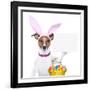 Funny Easter Dog-Javier Brosch-Framed Photographic Print