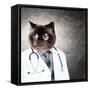 Funny Fluffy Cat Doctor In A Robe And Glasses. Collage-Sergey Nivens-Framed Stretched Canvas