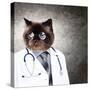 Funny Fluffy Cat Doctor In A Robe And Glasses. Collage-Sergey Nivens-Stretched Canvas