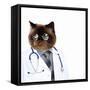 Funny Fluffy Cat Doctor in a Robe and Glasses. Collage-Sergey Nivens-Framed Stretched Canvas