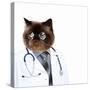 Funny Fluffy Cat Doctor in a Robe and Glasses. Collage-Sergey Nivens-Stretched Canvas