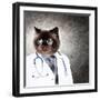 Funny Fluffy Cat Doctor In A Robe And Glasses. Collage-Sergey Nivens-Framed Photographic Print