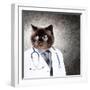 Funny Fluffy Cat Doctor In A Robe And Glasses. Collage-Sergey Nivens-Framed Photographic Print