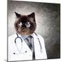 Funny Fluffy Cat Doctor In A Robe And Glasses. Collage-Sergey Nivens-Mounted Photographic Print