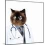 Funny Fluffy Cat Doctor in a Robe and Glasses. Collage-Sergey Nivens-Mounted Photographic Print