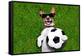 Funny German Soccer Dog-Javier Brosch-Framed Stretched Canvas
