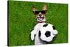 Funny German Soccer Dog-Javier Brosch-Stretched Canvas
