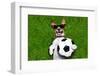 Funny German Soccer Dog-Javier Brosch-Framed Photographic Print