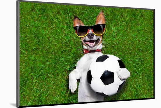Funny German Soccer Dog-Javier Brosch-Mounted Photographic Print