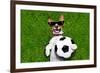 Funny German Soccer Dog-Javier Brosch-Framed Photographic Print