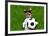 Funny German Soccer Dog-Javier Brosch-Framed Photographic Print