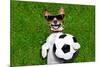 Funny German Soccer Dog-Javier Brosch-Mounted Photographic Print