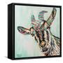 Funny Goat I-Carolee Vitaletti-Framed Stretched Canvas