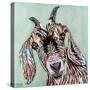 Funny Goat II-Carolee Vitaletti-Stretched Canvas