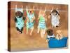 Funny Group of American Staffordshire Terrier Puppies with Little Red Cat Hanging on a Clothesline-Grigorita Ko-Stretched Canvas